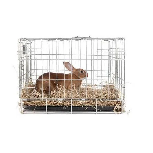 Rabbit cage option at FARM PLUS FARM